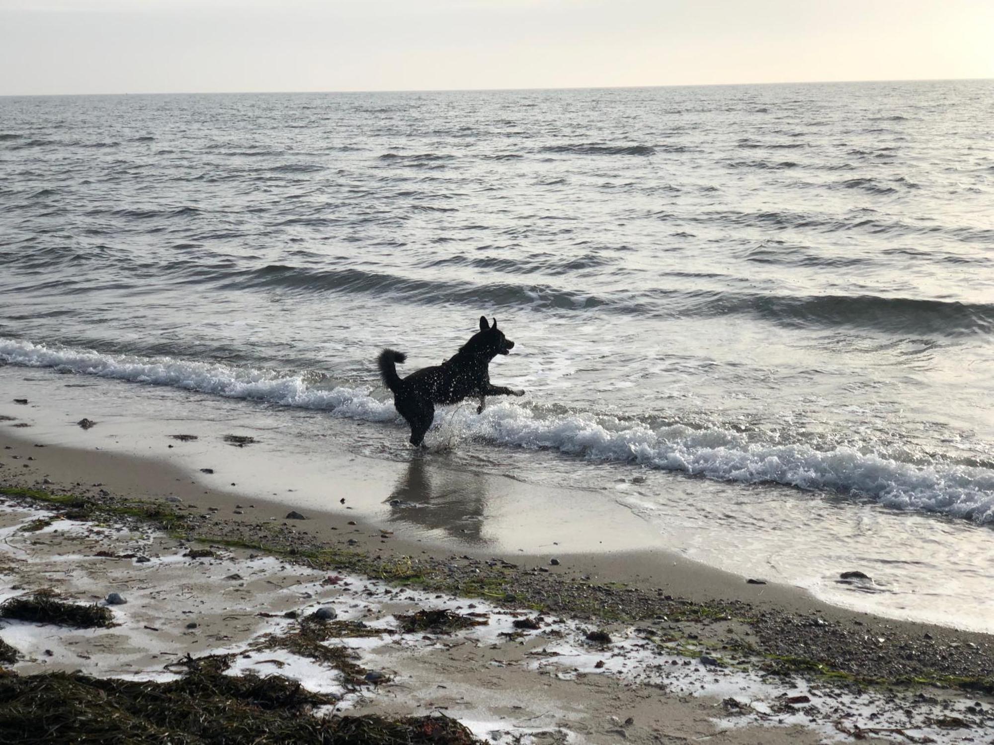 Sommerwind Fehmarn Buitenkant foto