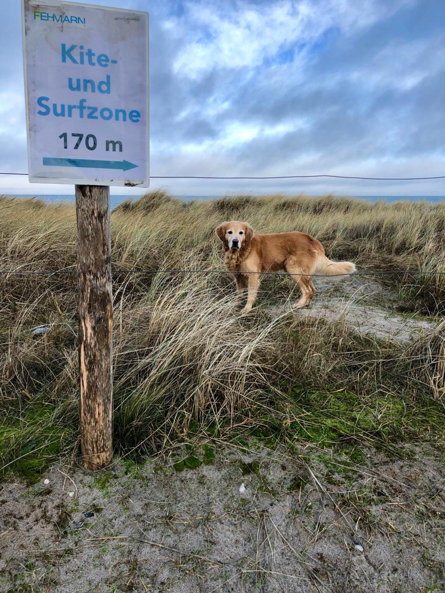 Sommerwind Fehmarn Buitenkant foto